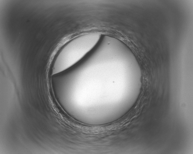 X0000056360006200508260958