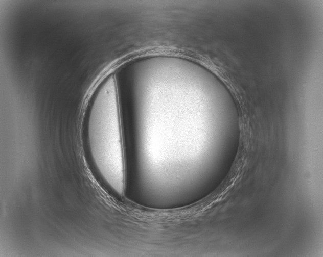 X0000056360007200508260958