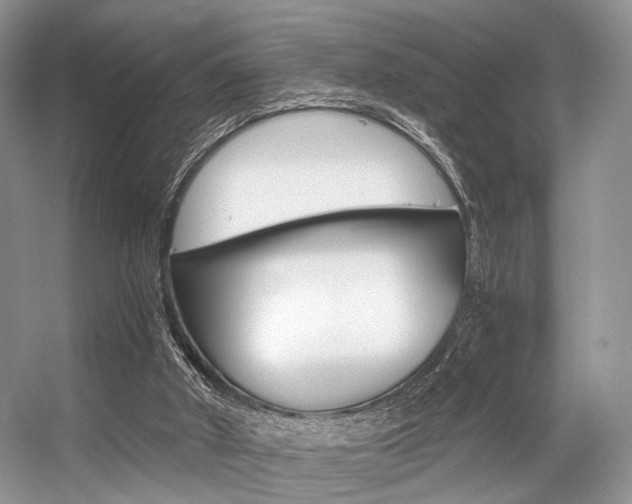X0000056360010200508260958