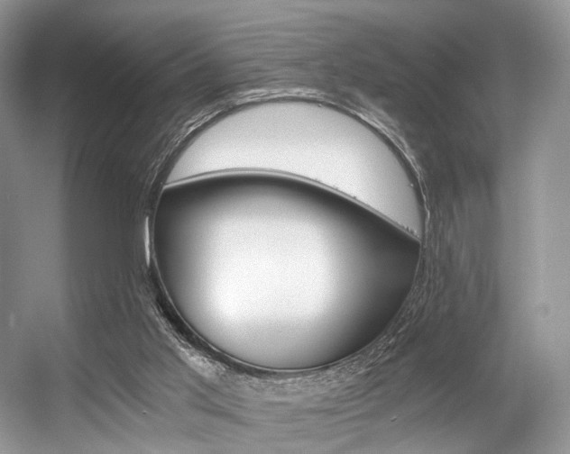 X0000056360013200508260958