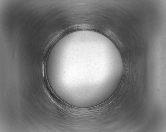 X0000056360014200508260958