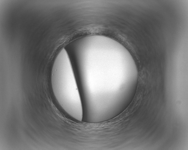 X0000056360018200508260958