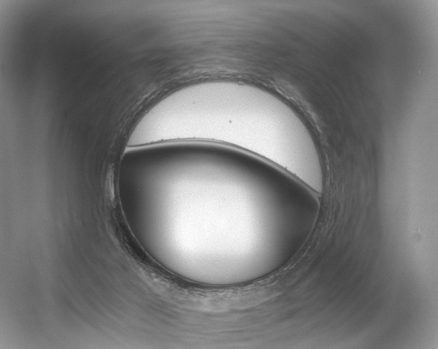 X0000056360021200508260958