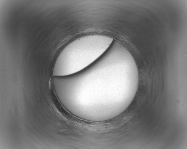 X0000056360024200508260958
