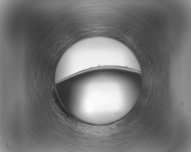 X0000056360031200508260958