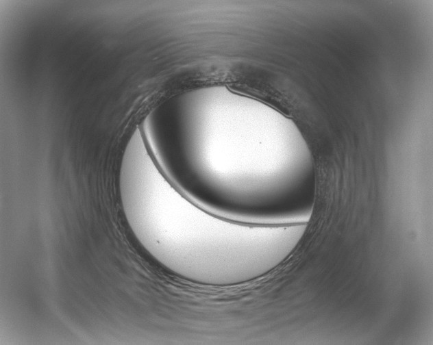 X0000056360035200508260957