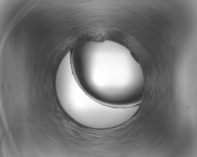 X0000056360037200508260957