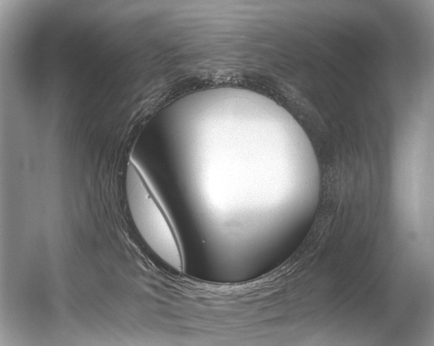 X0000056360039200508260957