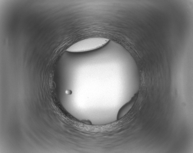 X0000056360043200508260957