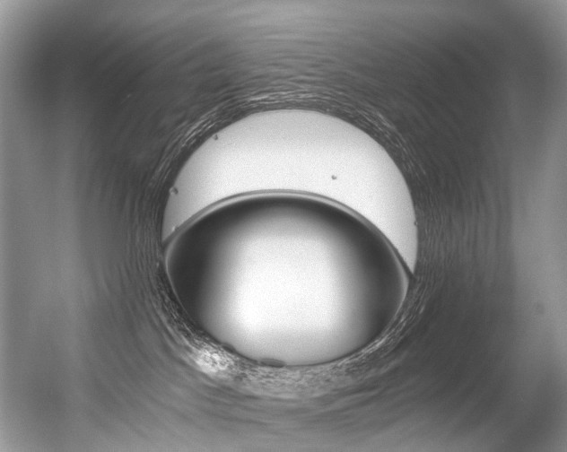X0000056360045200508260957