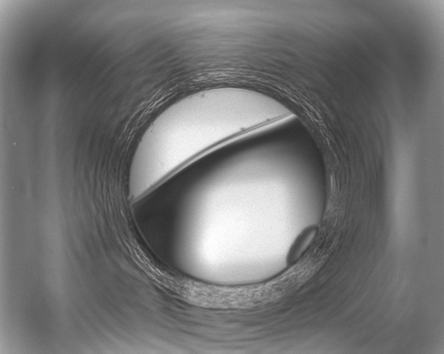 X0000056360048200508260957