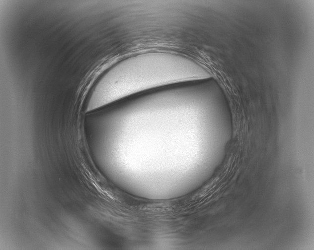 X0000056360050200508260956