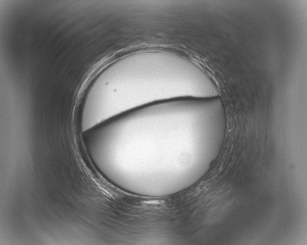 X0000056360053200508260956