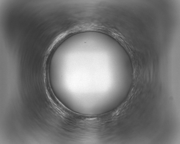 X0000056360054200508260957