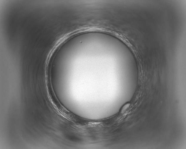 X0000056360055200508260957