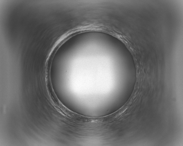 X0000056360056200508260957
