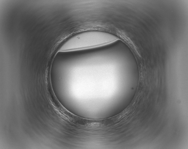 X0000056360058200508260957