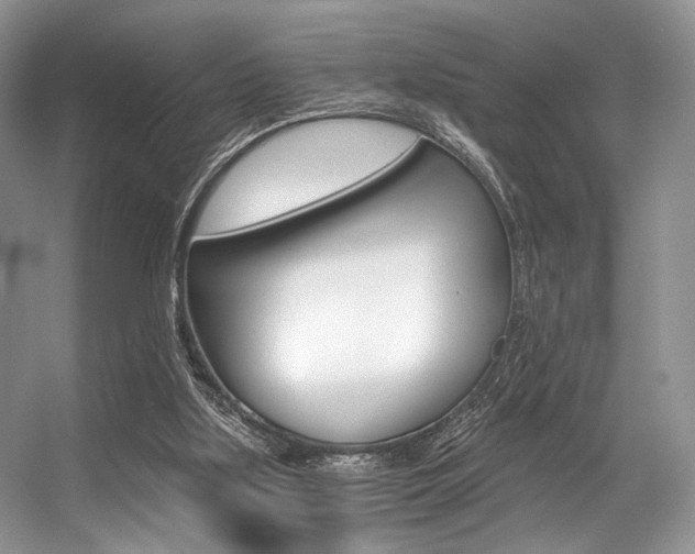 X0000056360059200508260957