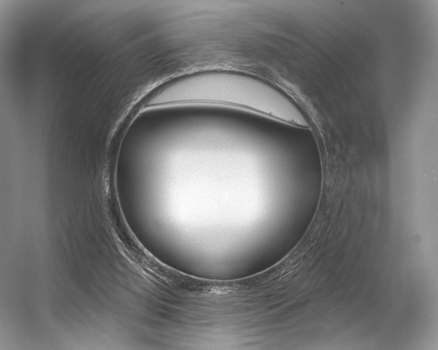 X0000056360060200508260957