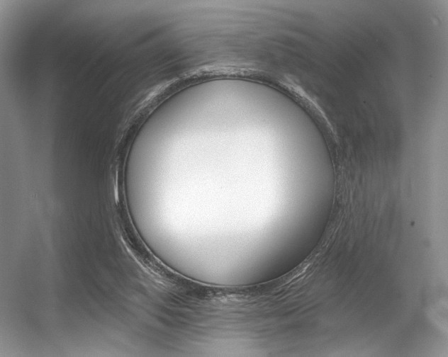 X0000056360062200508260957