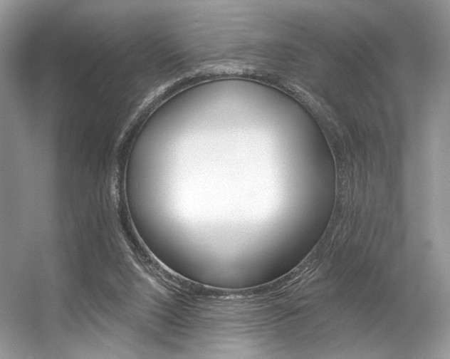 X0000056360064200508260957