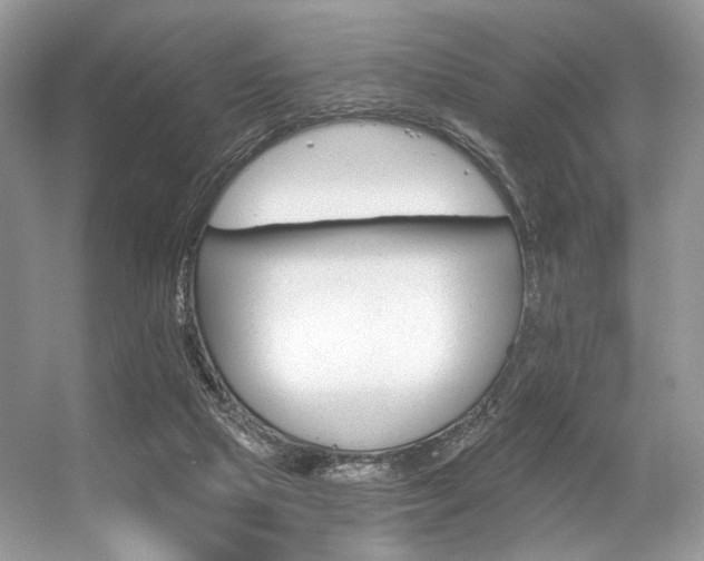 X0000056360065200508260957