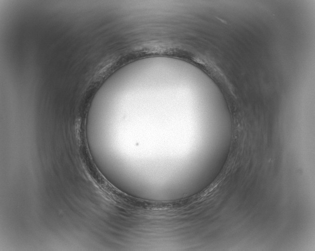 X0000056360066200508260957