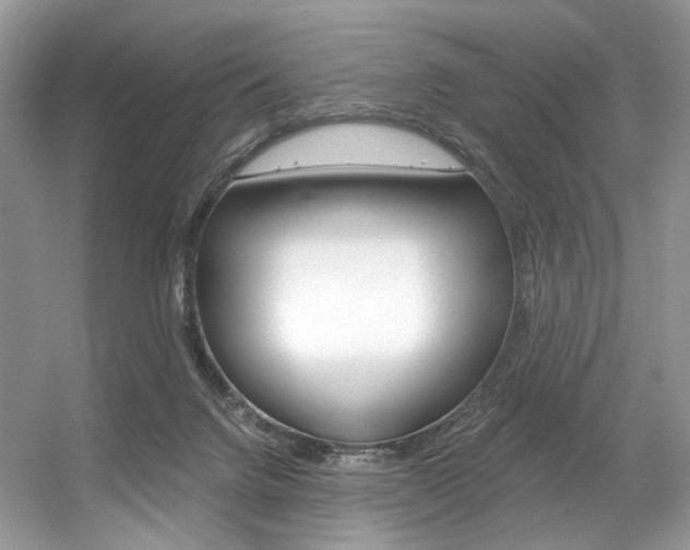 X0000056360072200508260957