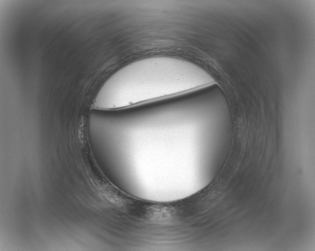 X0000056360073200508260957