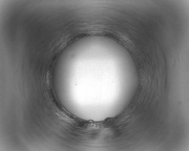X0000056360077200508260957