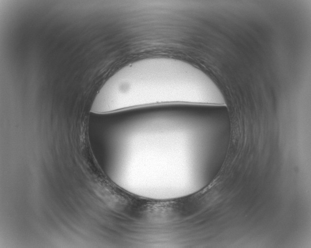 X0000056360078200508260957