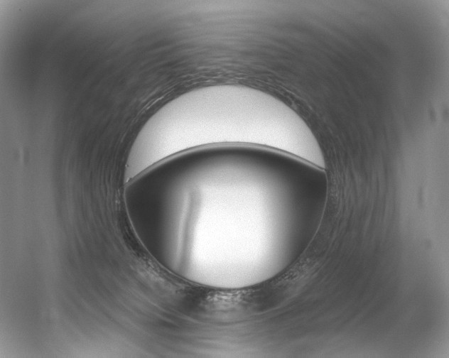 X0000056360084200508260957