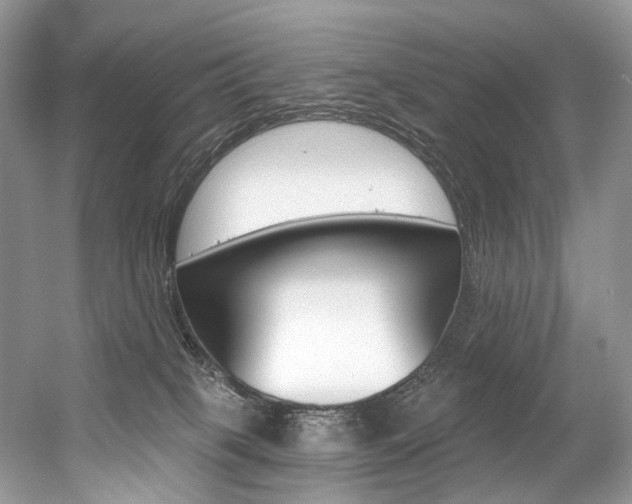 X0000056360085200508260957