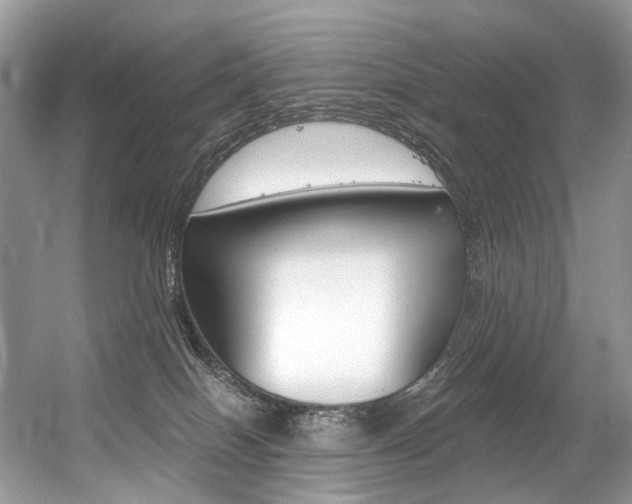 X0000056360086200508260957