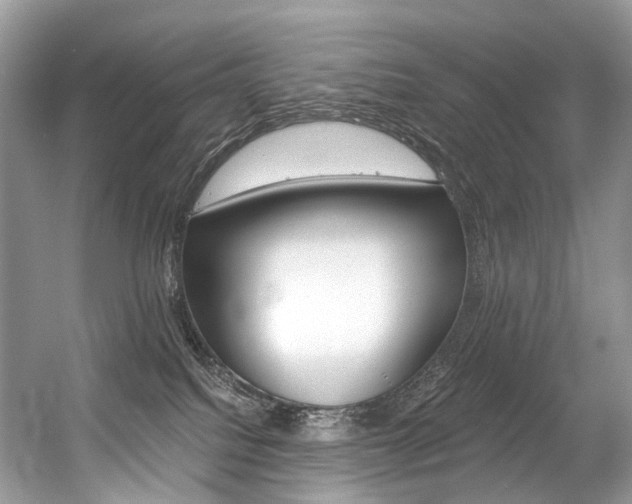 X0000056360088200508260957