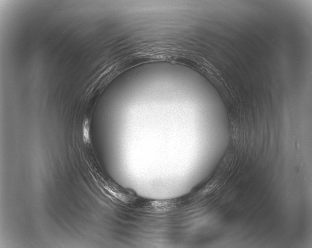 X0000056360095200508260957
