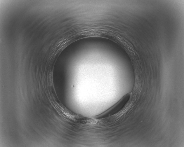 X0000056360096200508260957