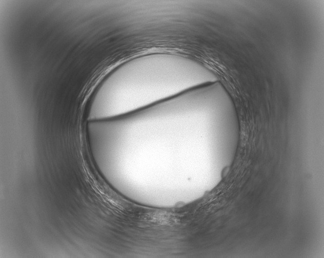 X0000056360098200508260956
