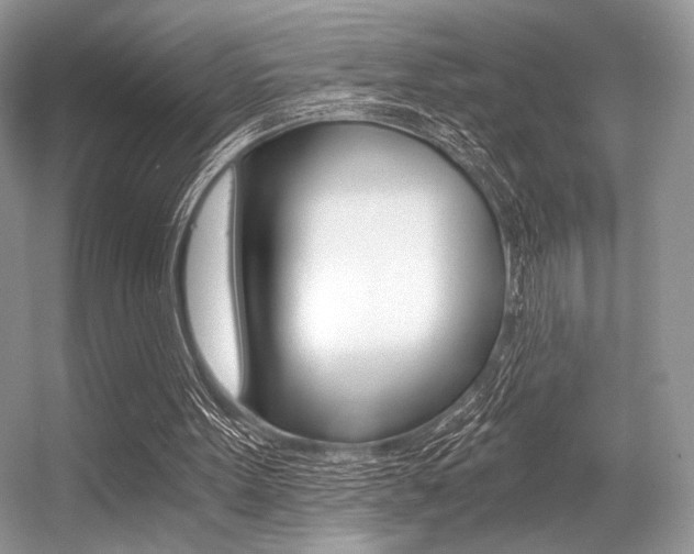 X0000056360099200508260956