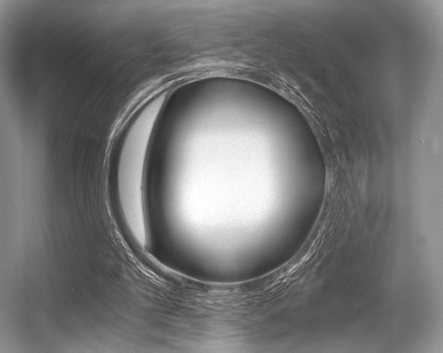 X0000056360101200508260956