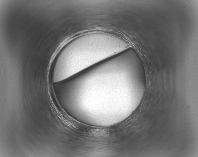 X0000056360102200508260956