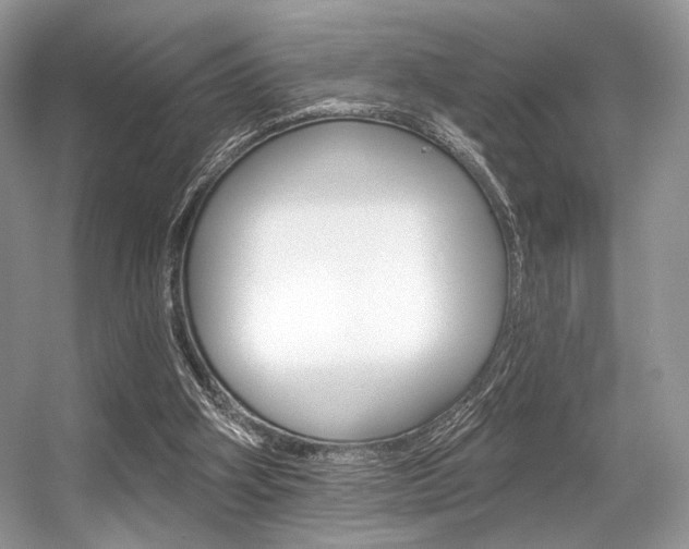 X0000056360106200508260956