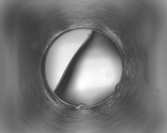 X0000056360107200508260956