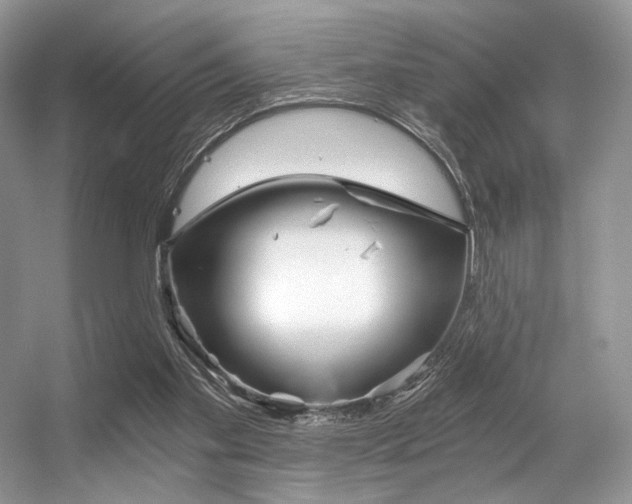 X0000056360109200508260956