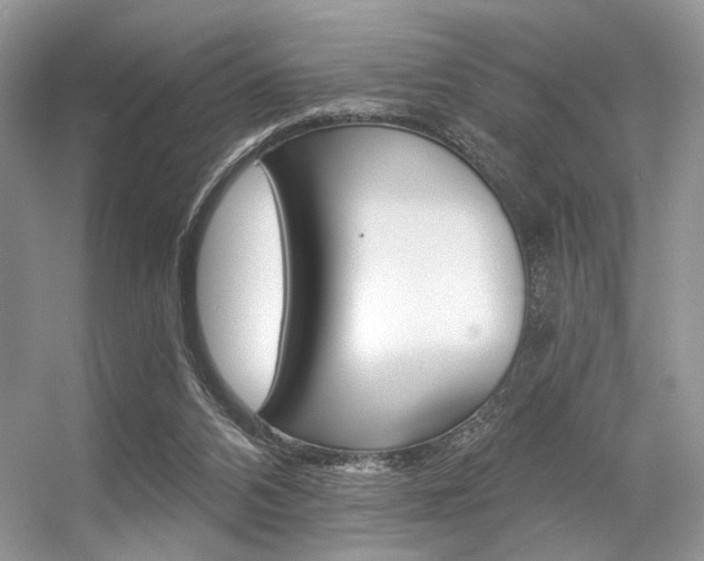 X0000056360112200508260956