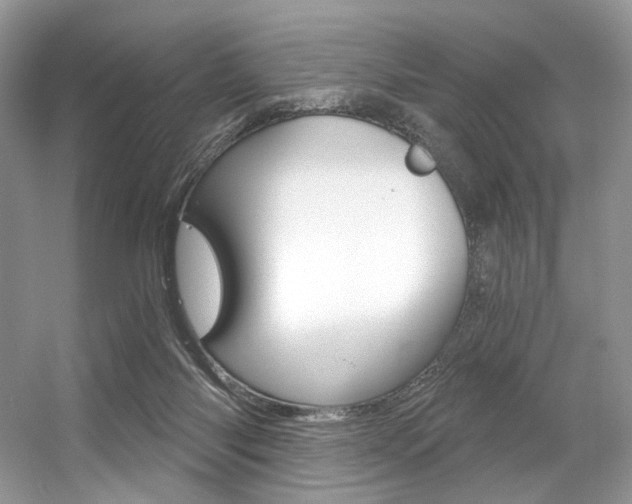 X0000056360118200508260956
