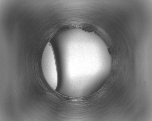 X0000056360121200508260956