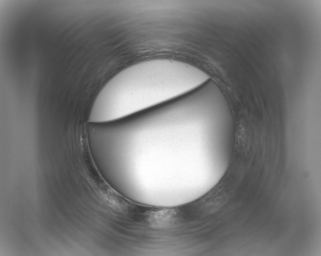 X0000056360122200508260956
