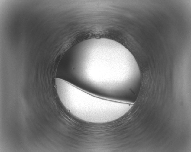 X0000056360135200508260956
