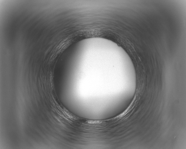 X0000056360144200508260956